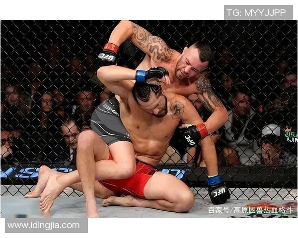 UFC温顿与布朗激战在即谁将成为新一代拳坛霸主